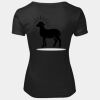 JB's LADIES SCOOP NECK TEE Thumbnail